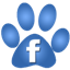 shihtzurescue.org/facebook