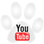 youtube.com/ShihTzuRescueFL