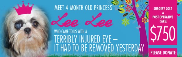 Lee Lee